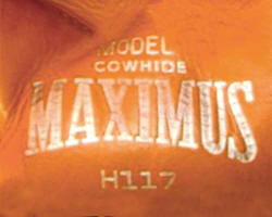 B.F. Goodrich - Maximus Brand Baseball Glove
