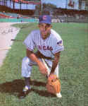 Billy Williams 1964 - 1966 Rawlings Premium Photo